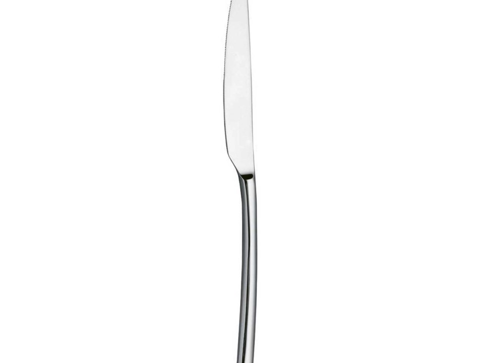 Basic Coltello Inox Tavola
